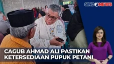 Pilkada Sulteng 2024,...