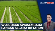 Swasembada Pangan jadi...