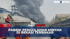 Pabrik Pengolahan Minyak...