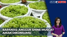 Badan Pangan Nasional...