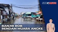 Kawasan Muara Angke...
