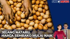 Harga Telur Meroket...