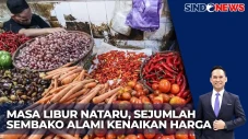 Masa Libur Nataru, Harga...