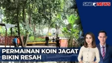 Aksi Berburu Koin Membuat...