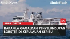 Bakamla Gagalkan Penyeludupan...