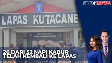 Bingung Usai Kabur,...