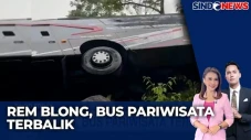 Rem Blong, Bus Pariwisata...