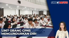 Optimalisasi CPNS 2024,...