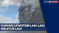 Gunung Lewotobi Laki-Laki...