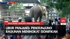 Puluhan Ribu Pengunjung...