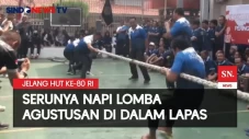 Serunya Napi Lomba Agustusan...