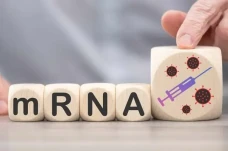 Vaksin Berbasis mRNA...
