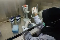 Seakurat PCR, RT-LAMP...
