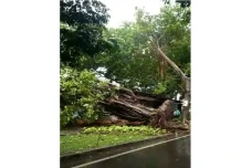 Hujan Disertai Angin...