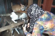 Kisah Mama Yeni, Perempuan...