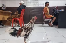 Isi Waktu Luang dengan...