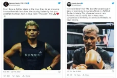Hero Tito Petinju Indonesia...