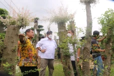 Permintaan Dunia Tinggi,...