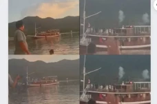 Viral! Wisatawan Bakar...