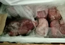 Penyelundupan 720 Kg...