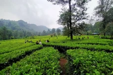Wisata Murah Meriah,...