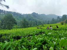 Libur Lebaran, Wisata...