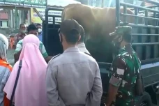 Cegah Wabah PMK, Aceh...