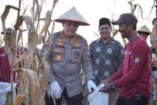Dukung Ketahanan Pangan,...