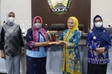 Pemkot Baubau Pelajari...