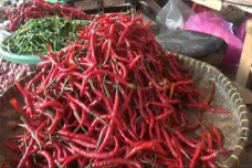 Harga Cabai Meroket,...