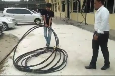 Pencuri Kabel Listrik...