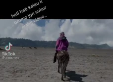 Viral Wisatawan Gunung...