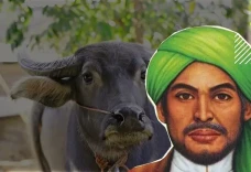 Bagaimana Hukum Kurban...