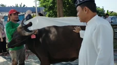 Fuji Berkurban Atas...