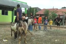 Dapat Hewan Kurban,...