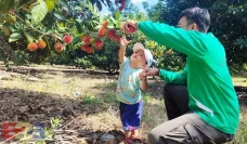 Kementan Buka Wisata...