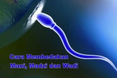 Perbedaan Mani, Wadi...