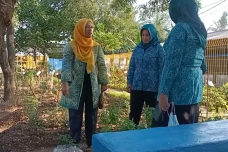 Warga Ancol Kena DBD,...