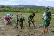Pertanian Jadi Penopang...