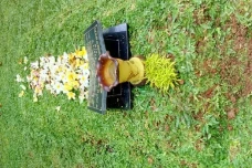 Inilah 4 Penyesalan...