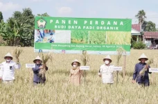 Pemkab Gowa Dorong Penggunaan...