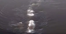 Mirip Monster Loch Ness,...