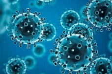 Virus Langya Ditemukan...