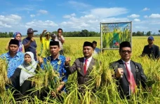 Momen Hari Kemerdekaan,...