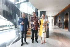 Puji Hary Tanoesoedibjo,...