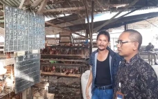 Harga Telur Ayam di...