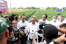 Cegah Krisis Pangan,...