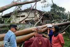 9 Titik Pohon Tumbang...