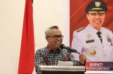 Kandidat Cawabup Luwu...