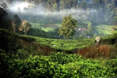 Kisah Misteri Gunung...